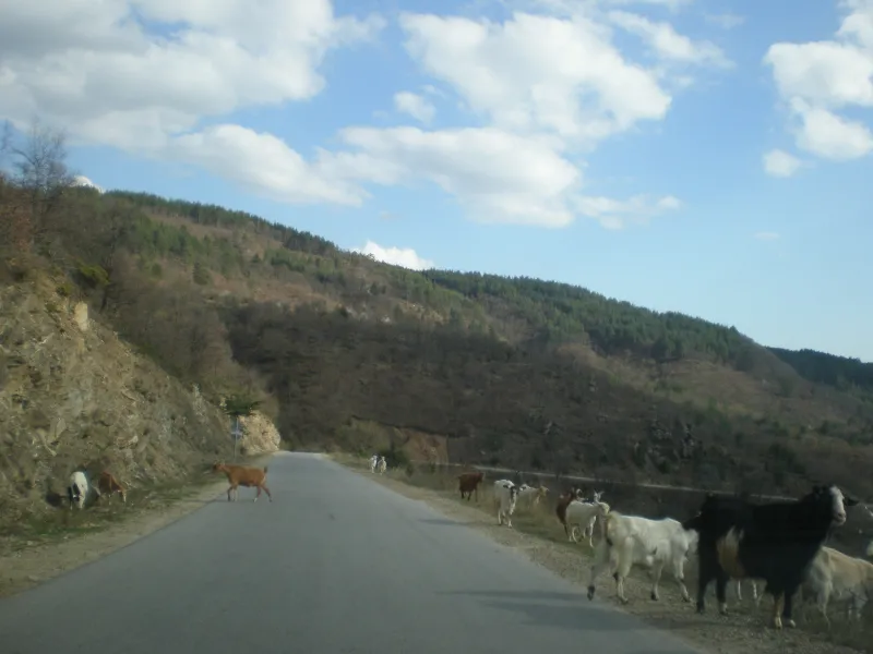 Пътят към Огняново (Panoramio, 2010)