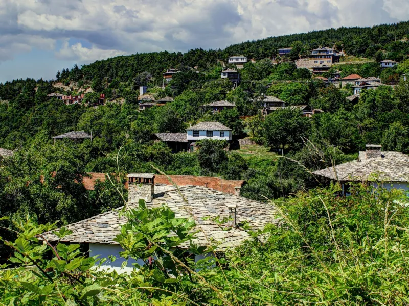 Село Лещен, общ изглед